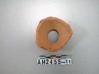 藏品(紅色夾砂陶口緣殘件)的圖片